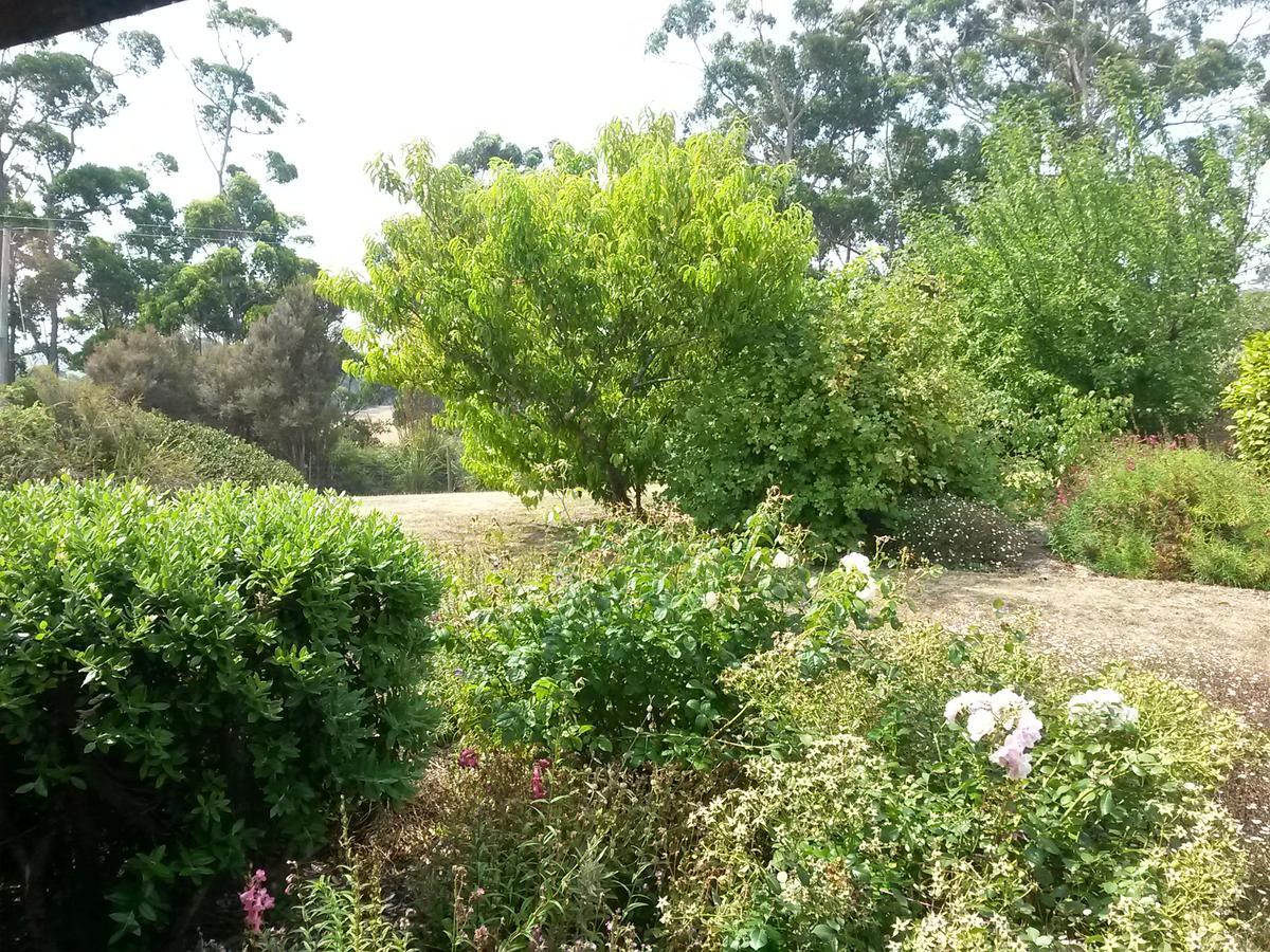 Eagle'S Roost Farmstay B&B Rocky Cape Buitenkant foto