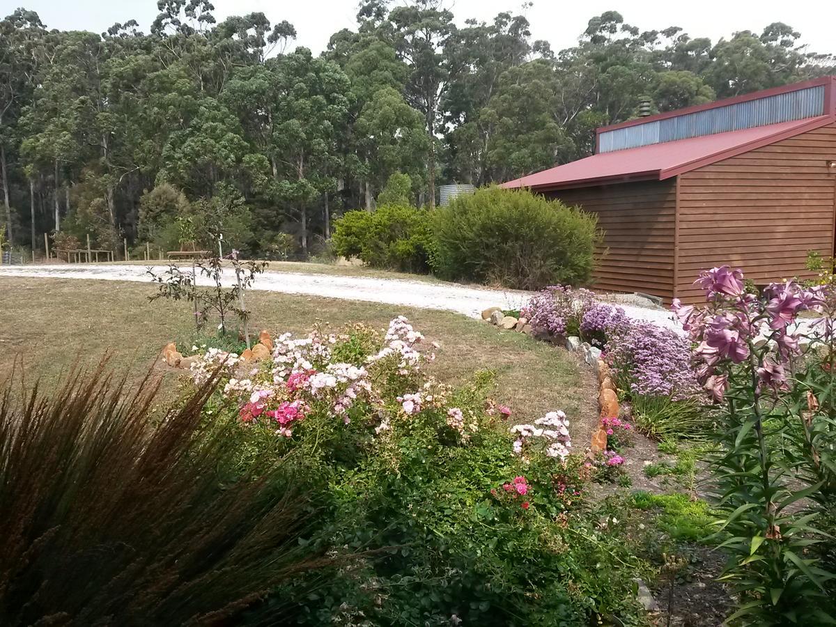 Eagle'S Roost Farmstay B&B Rocky Cape Buitenkant foto