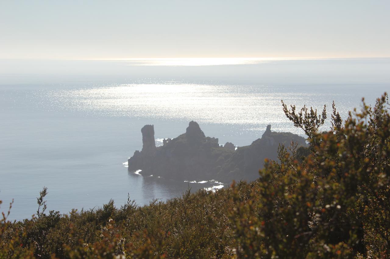 Eagle'S Roost Farmstay B&B Rocky Cape Buitenkant foto